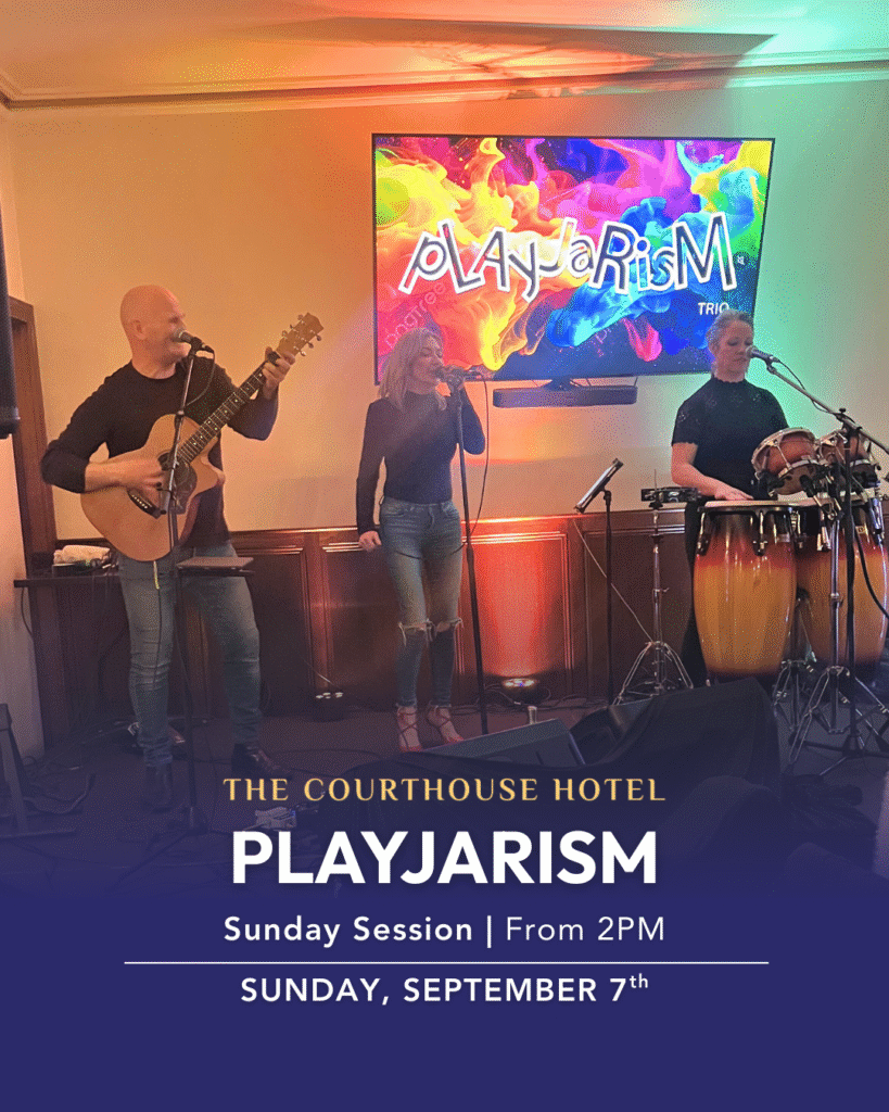 Playjarism band playing live acoustic music at The Courthouse Hotel Smythesdale Sunday Session.